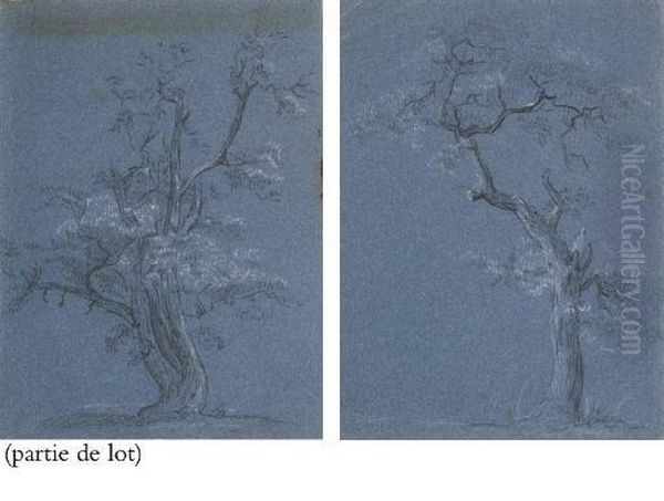 Suite De Six Etudes D'arbres Oil Painting by Jean-Baptiste Huet I