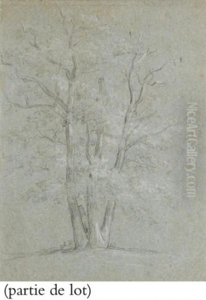 Suite De Trois Etudes D'arbres Oil Painting by Jean-Baptiste Huet I