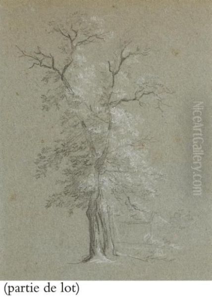 Suite De Huit Dessins: Deux Paysages Et Six Etudes D'arbres Oil Painting by Jean-Baptiste Huet I