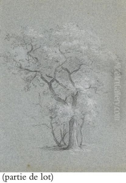 Suite De Deux Etudes D'arbres Et Deux Paysages Oil Painting by Jean-Baptiste Huet I