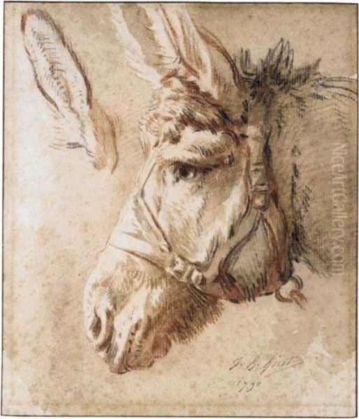 Study Of A Donkey's Head, With Another Study Of His Ear Oil Painting by Jean-Baptiste Huet I