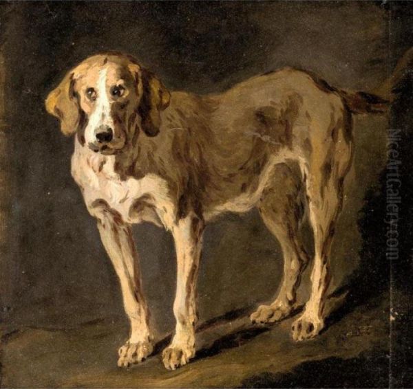 Portrait Of A Hound Oil Painting by Jean-Baptiste Huet I