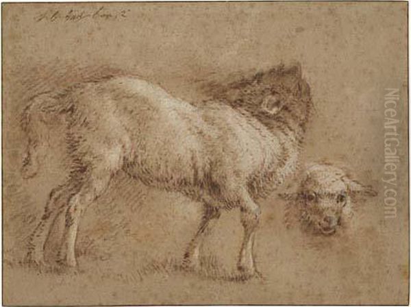 Studies Of Sheep Oil Painting by Jean-Baptiste Huet I