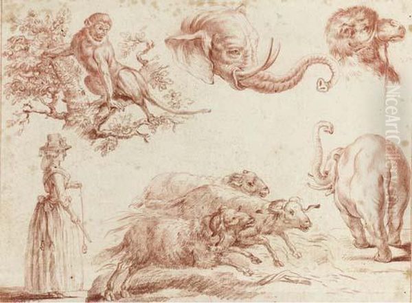 Sketches Of Animals And A Woman Oil Painting by Jean-Baptiste Huet I