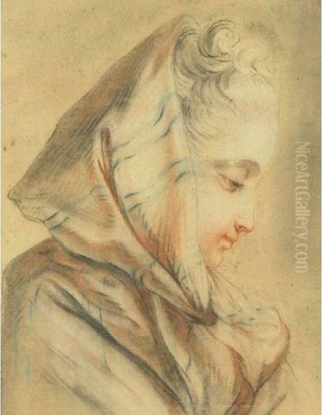 Portrait Of A Lady In Profile Oil Painting by Jean-Baptiste Huet I