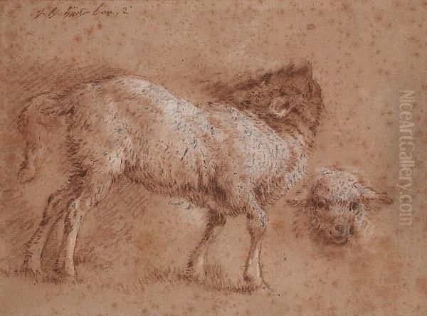 Study Of A Sheep And A Sheep's Head Oil Painting by Jean-Baptiste Huet I