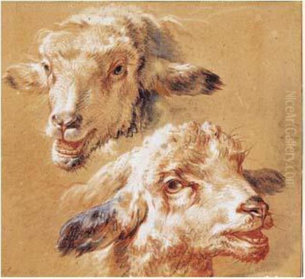 Deux Etudes De Tetes De Moutons Oil Painting by Jean-Baptiste Huet I