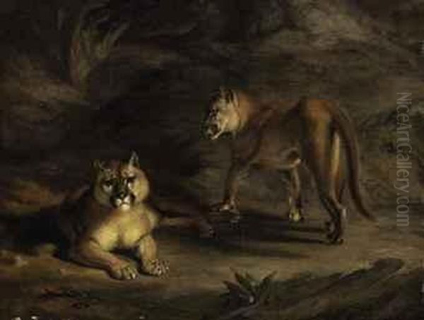 Two Pumas Oil Painting by William Huggins