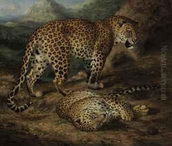 Two Leopards Oil Painting by William Huggins