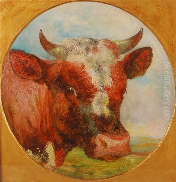 Studyof A Cows Head Oil Painting by William Huggins