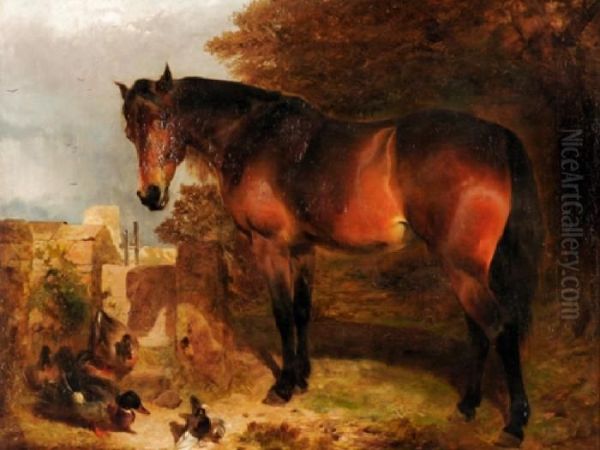 A Bay Horse, With Duck And Pigeons Oil Painting by William Huggins