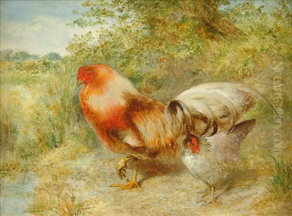 Poultry In A Landscape Oil Painting by William Huggins