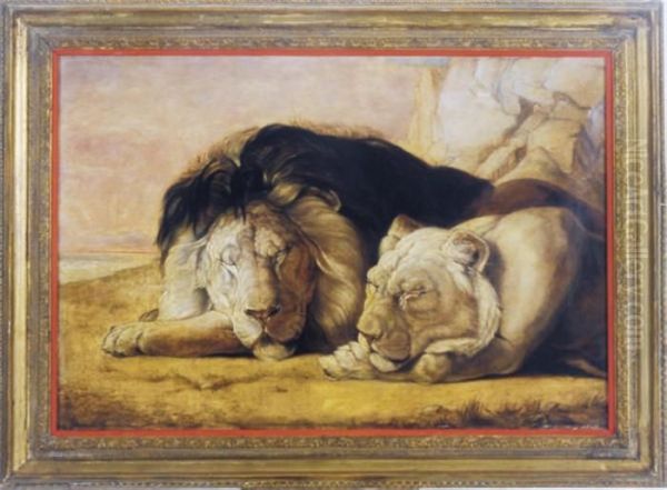 A Sleeping Lion And His Lioness Oil Painting by William Huggins