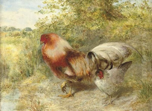 Poultry In A Landscape Oil Painting by William Huggins