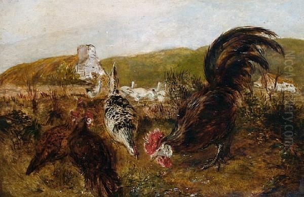 The Cockerel Oil Painting by William Huggins