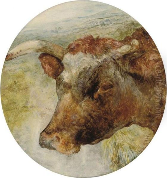 Head Study Of A Longhorn Cow Oil Painting by William Huggins