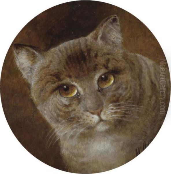 The Head Of A Cat Oil Painting by William Huggins