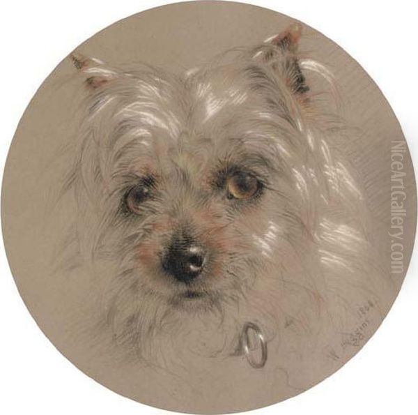 A Yorkshire Terrier Oil Painting by William Huggins