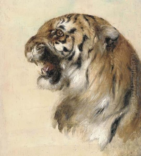 A Bengal Tiger Oil Painting by William Huggins