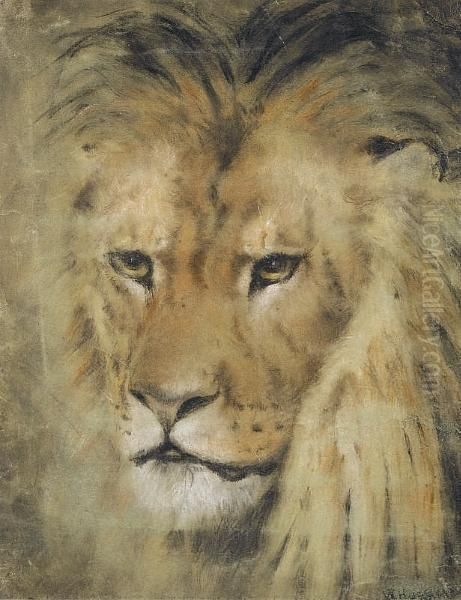 Study Of A Lion Oil Painting by William Huggins