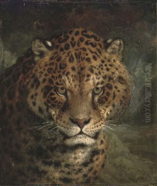 A Jaguar by William Huggins