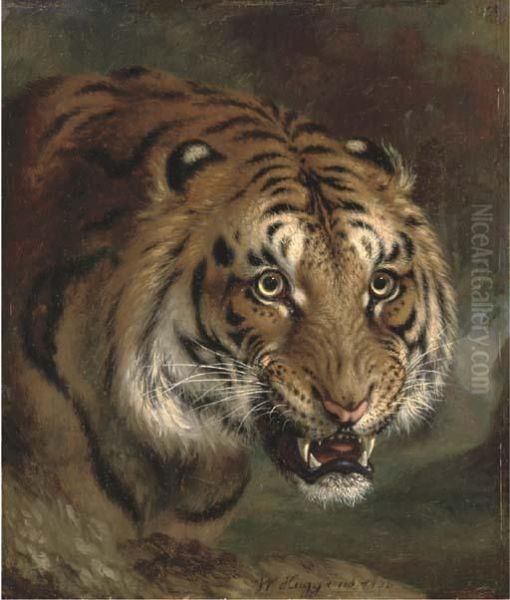 A Bengal Tiger Oil Painting by William Huggins