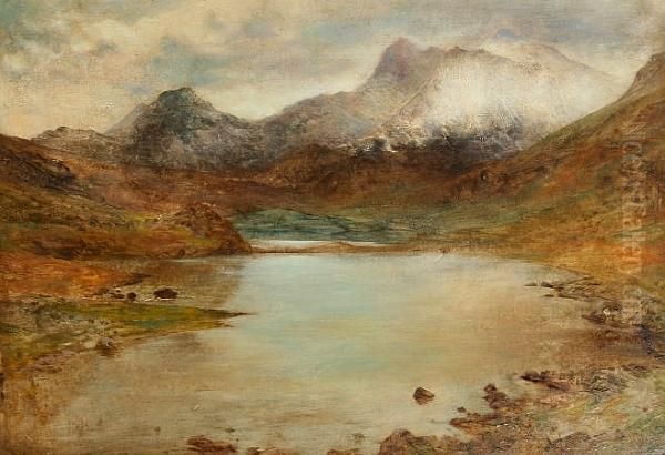 View Of Snowdon And Lake From Capel Curig Oil Painting by William Huggins