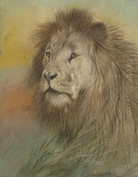 Study Of A Lion Oil Painting by William Huggins