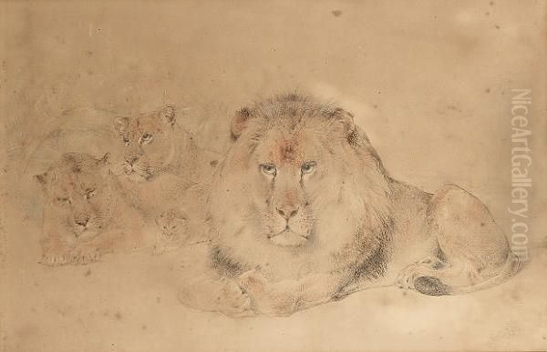 The Pride Of Lions Oil Painting by William Huggins