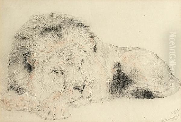 Sleeping Lion Oil Painting by William Huggins