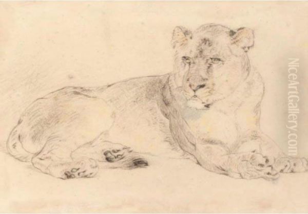 A Lioness Oil Painting by William Huggins