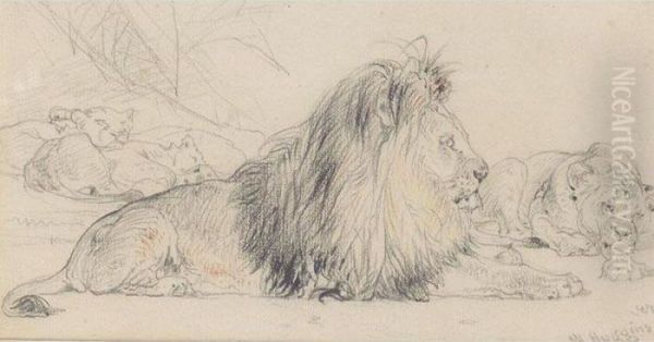 Study Of A Lion And His Pride Oil Painting by William Huggins