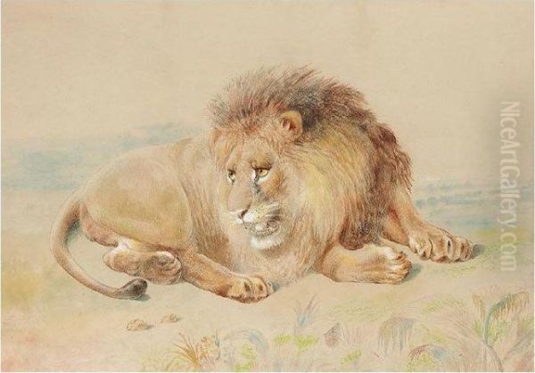 Lion Oil Painting by William Huggins