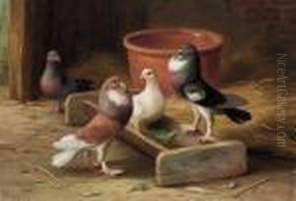 Pigeons Oil Painting by Edgar Hunt