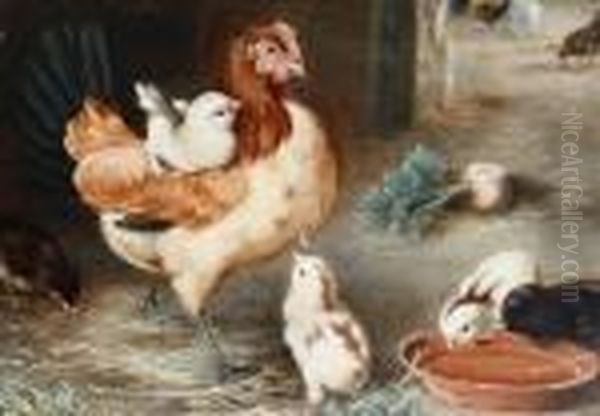 A Hen With Her Chicks Oil Painting by Edgar Hunt