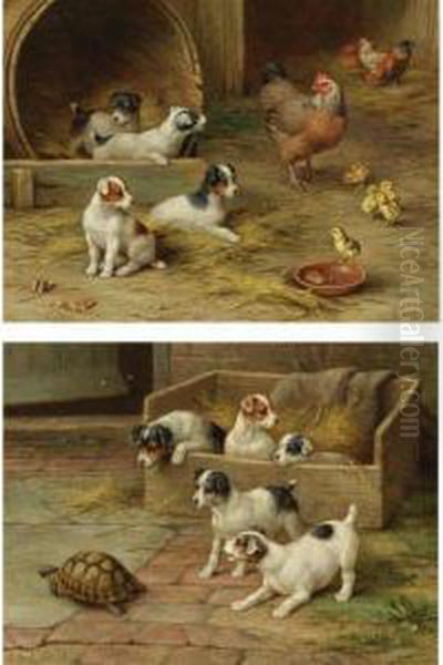 Puppies And Chickens And Puppies And A Tortoise Oil Painting by Edgar Hunt