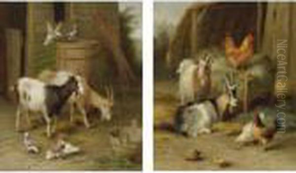 Goats And Pigeons And Goats And Chickens Oil Painting by Edgar Hunt