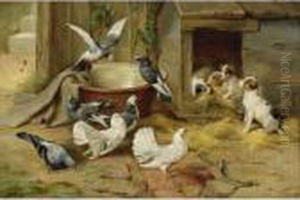 Puppies And Pigeons Oil Painting by Edgar Hunt