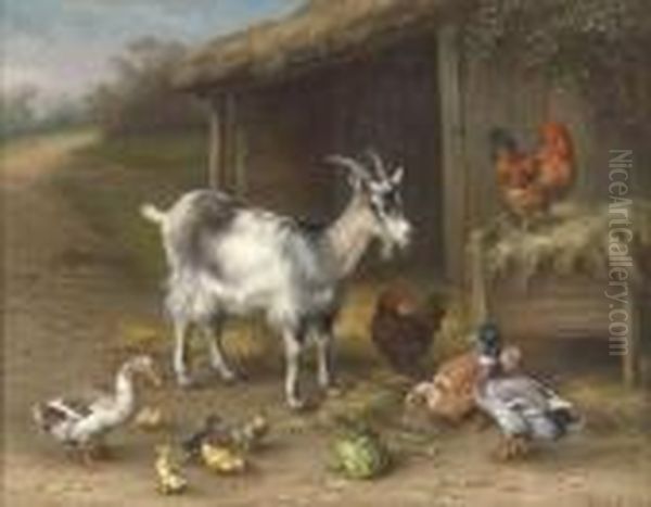 Goat, Ducks And Chickens Outside A Barn Oil Painting by Edgar Hunt