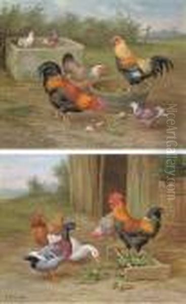 Chickens And Doves; And Chickens And Ducks Oil Painting by Edgar Hunt