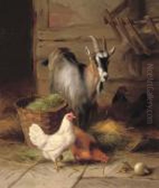 A Goat And Chickens Oil Painting by Edgar Hunt