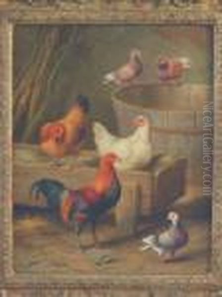 Studies Of Chickens,chicks And Pigeons, A Pair Oil Painting by Edgar Hunt