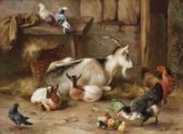 Goats, Chickens And Pigeons In A Farmyard Oil Painting by Edgar Hunt