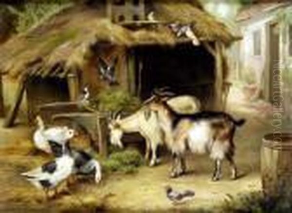 Farmyard Friends, With Terrier And Doves Oil Painting by Edgar Hunt