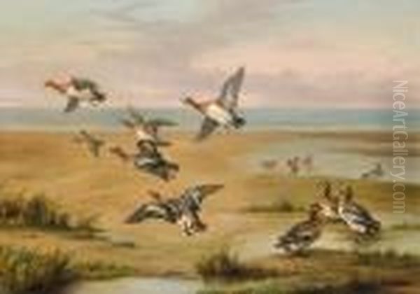 Wild Ducks Oil Painting by Edgar Hunt