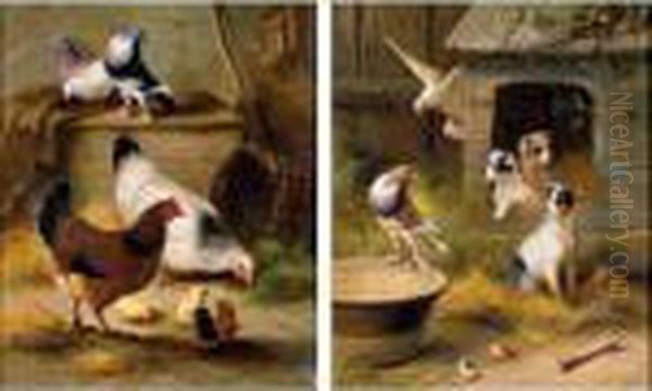 Pigeons And Chickens; Pigeons And Puppies by Edgar Hunt