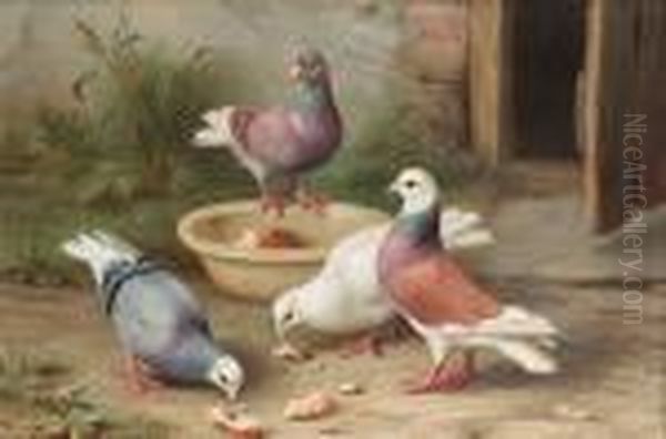 Pigeons In A Courtyard Oil Painting by Edgar Hunt