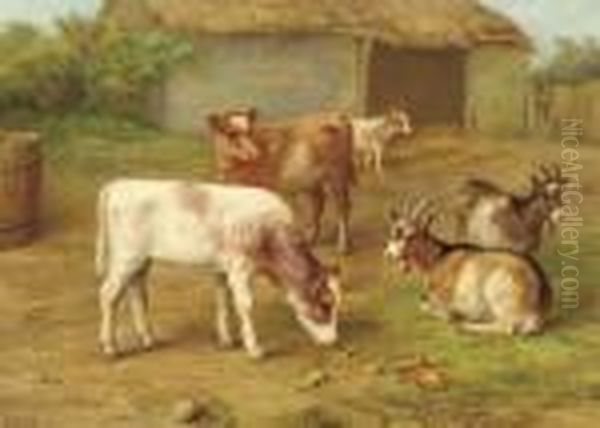 Calves And Goats In A Barnyard; Also Calves, A Goat And Kids Oil Painting by Edgar Hunt