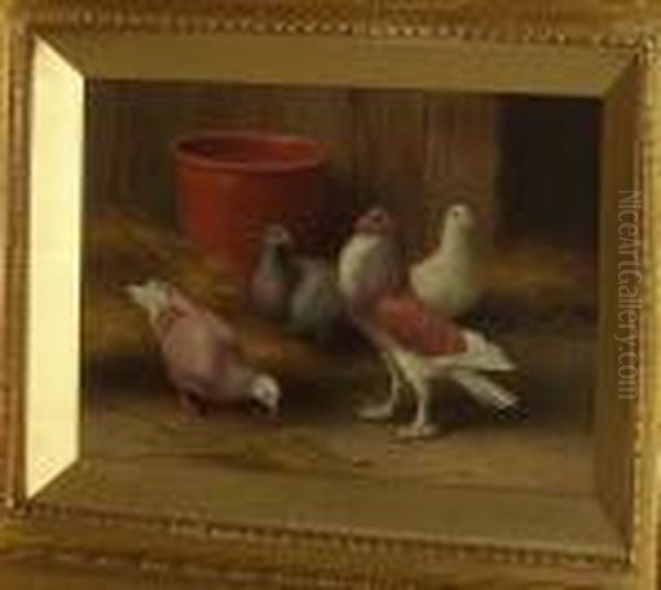 Pigeons By A Terracotta Pot Oil Painting by Edgar Hunt