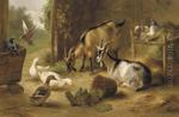 Goats, Ducks And Pigeons In A Stable Doorway Oil Painting by Edgar Hunt